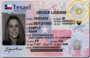 US Driver’s License